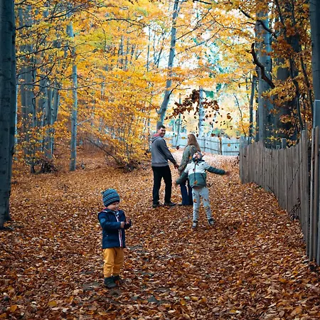 Beskidzki Zakatek - Przytulny Z Balia I Kominkiem, Idealny Na Relaks I Ucieczke Od Miasta